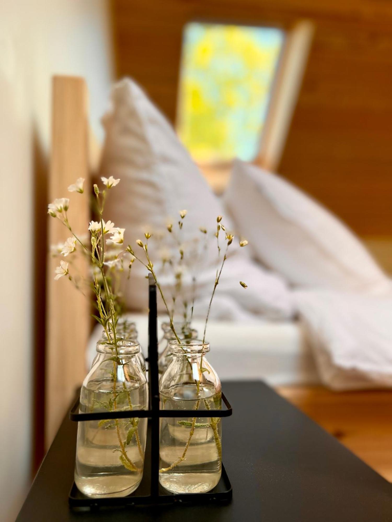Taras I Holiday home